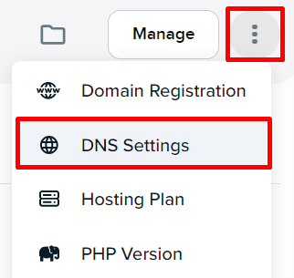 DNS Settings